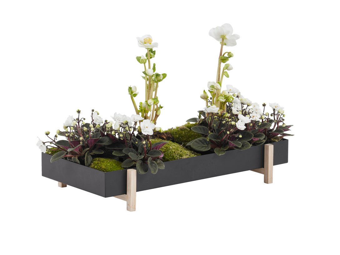 Botanic Tray - Pflanzenständer Pflanzenständer von Design House Stockholm