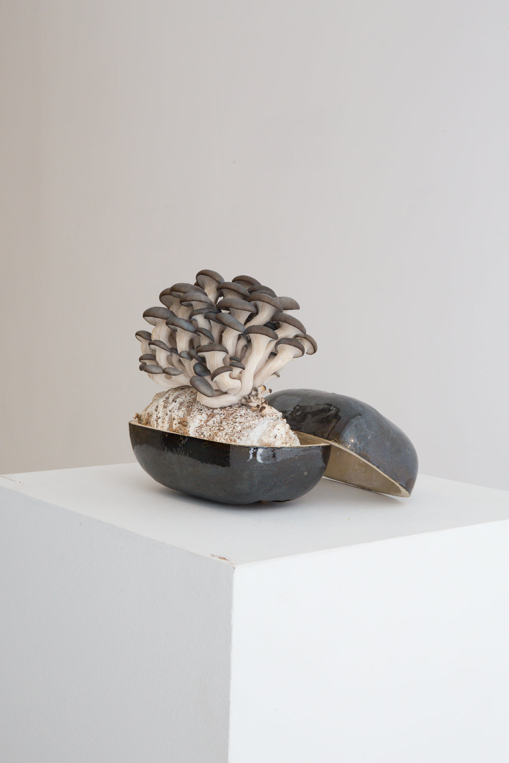 How Biodesign Is Rewiring Our Relationship With Nature