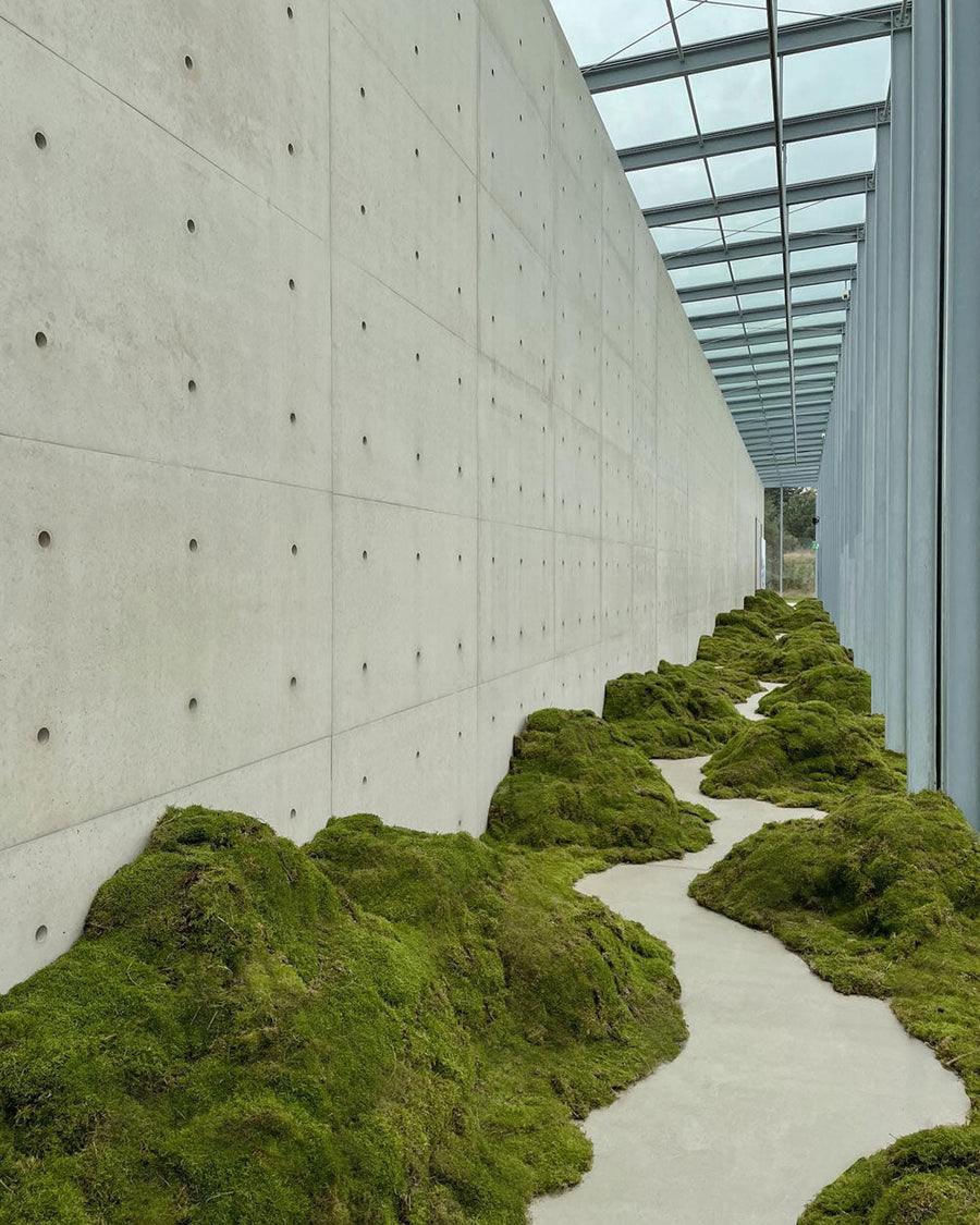 Of Moss and Memory: Intentionally Cultivating Senses