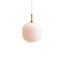 Brass / Glossy Pale Rose Glass