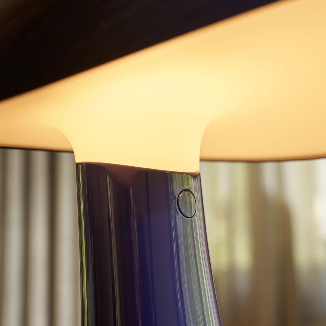 Rumee 220 Portable Lamp