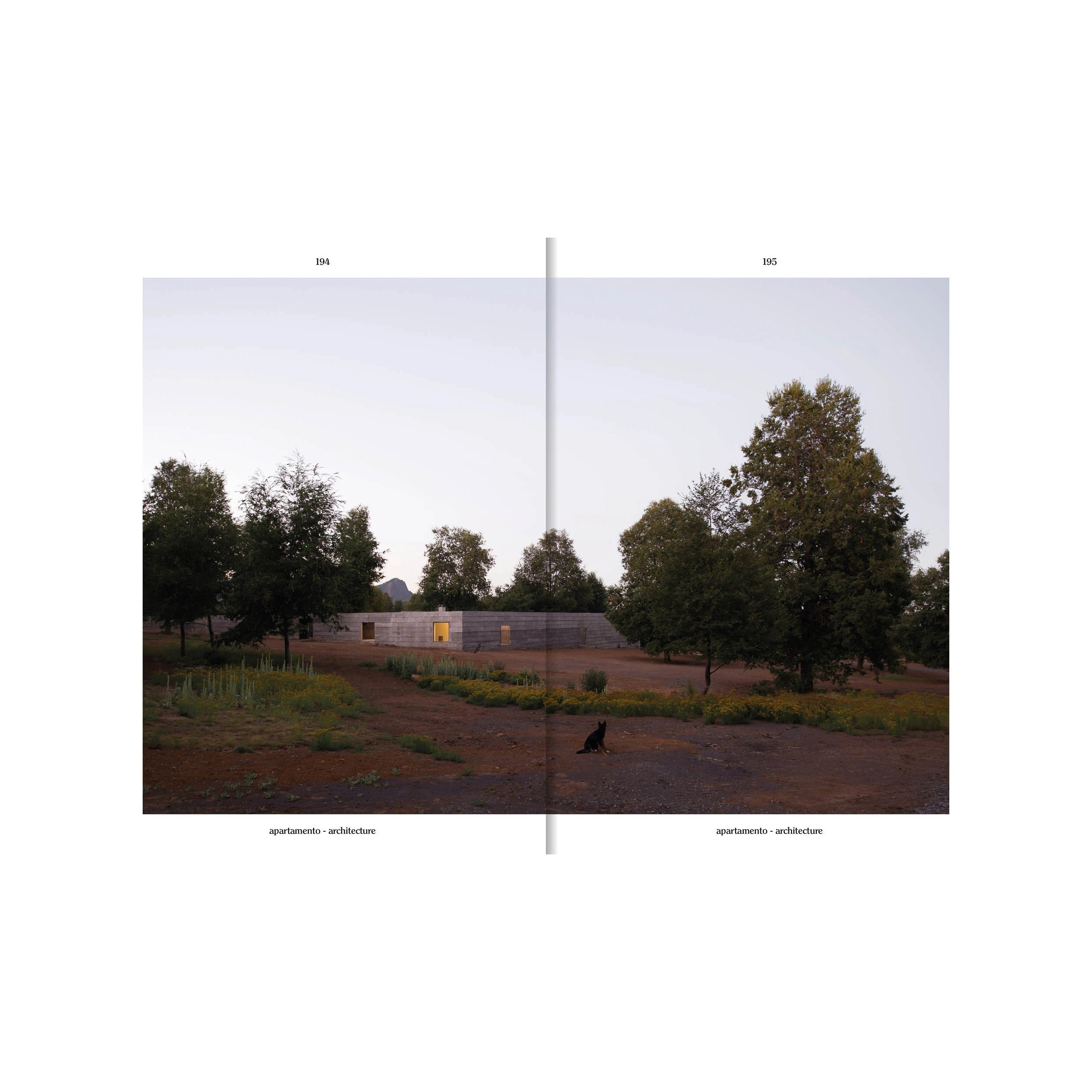 Apartamento Magazine Issue #37