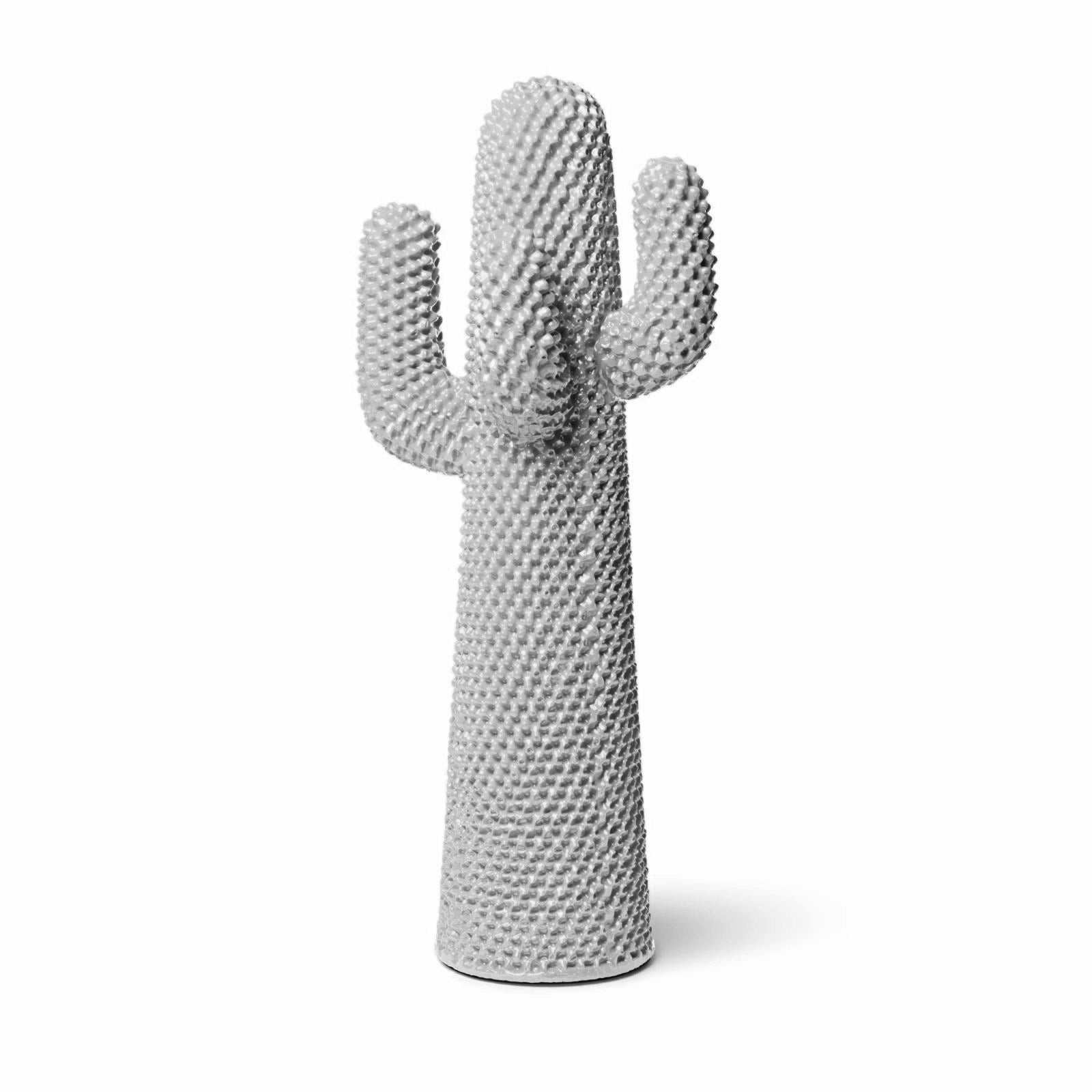 Boring Cactus