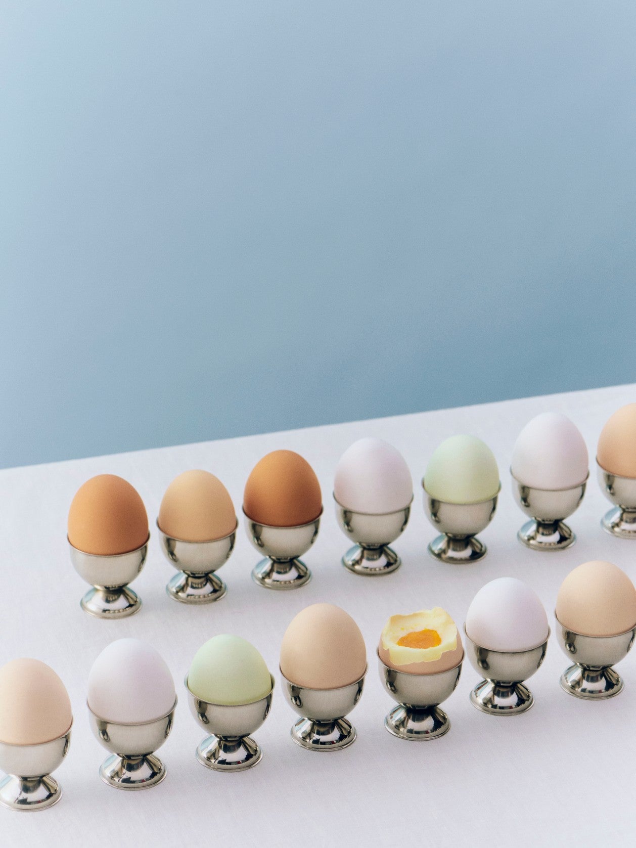 Essential Steel Egg Cup