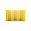 Canary Yellow