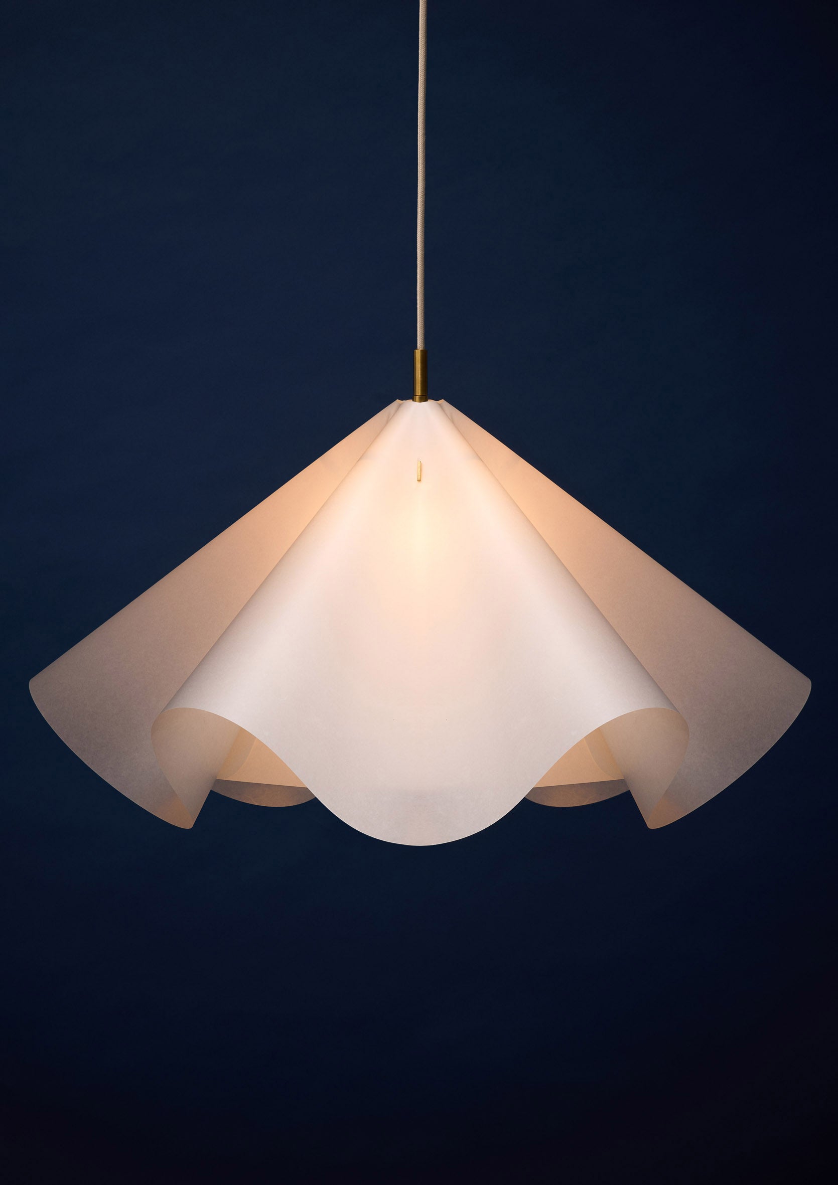 Sinuate Pendant Lamp