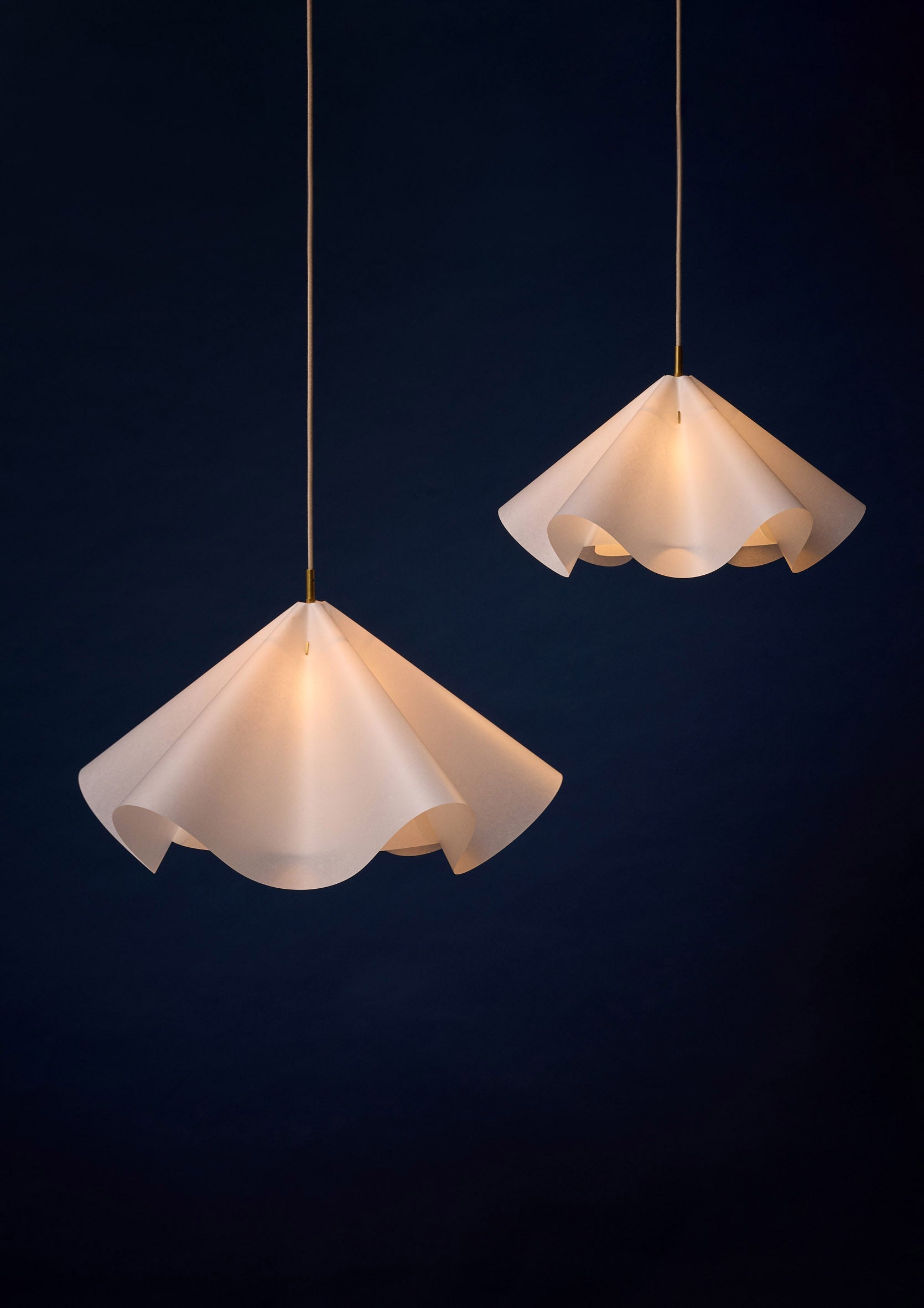 Sinuate Pendant Lamp