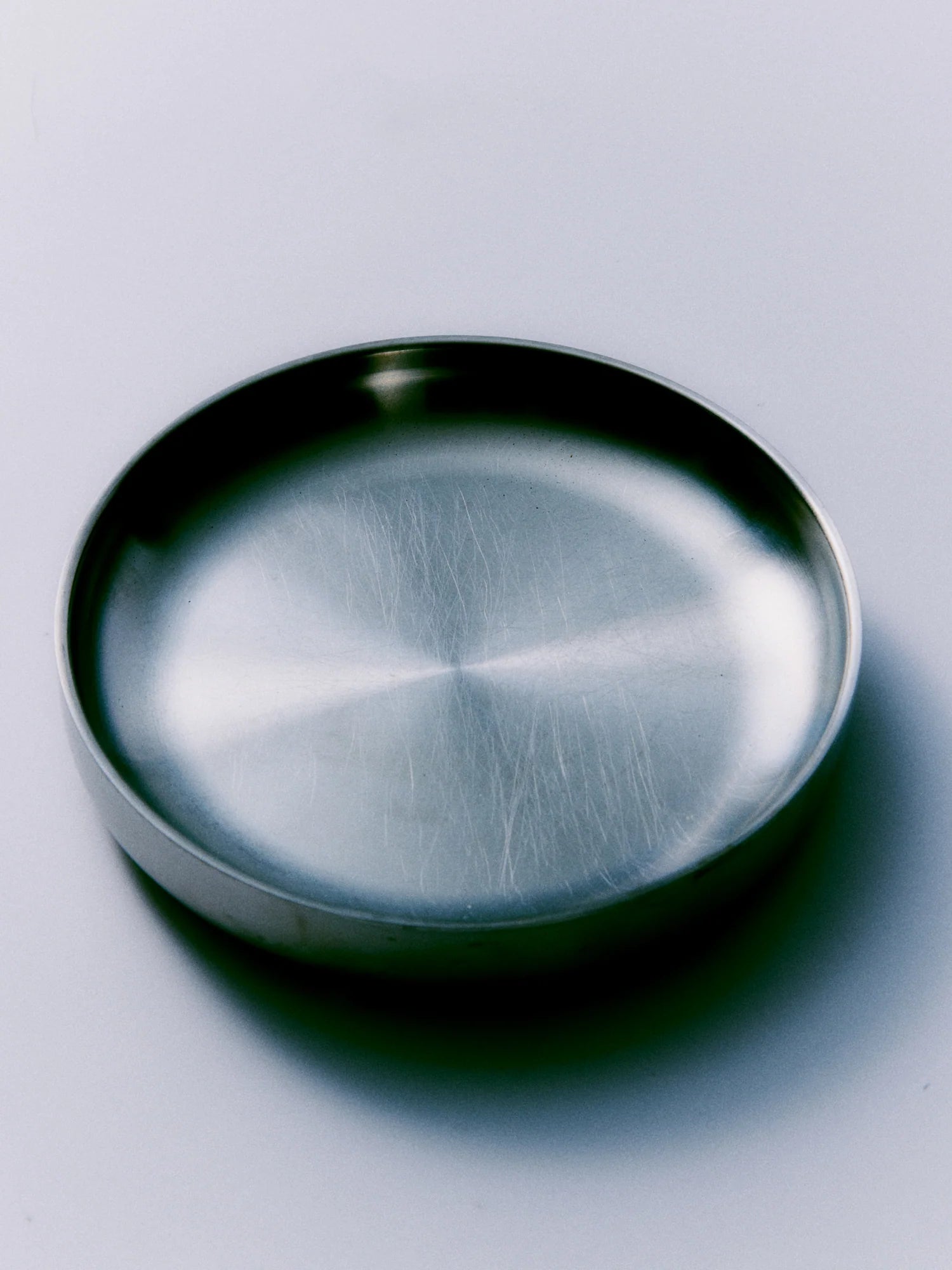 Stainless Steel Pasta Plate (Set of 2)