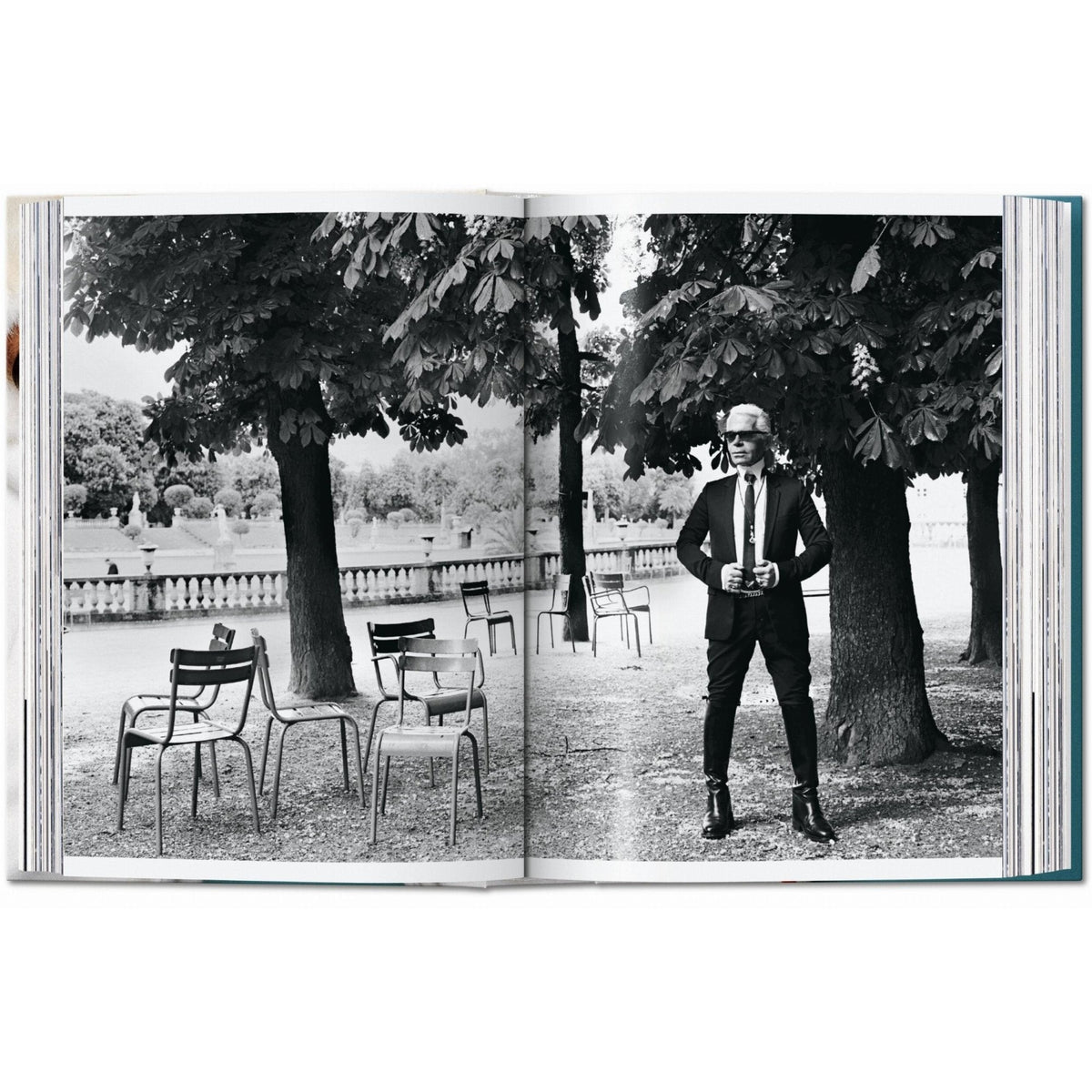 Mario Testino. SIR. 45th Ed. - Bücher - Taschen Verlag – Ansicht 5