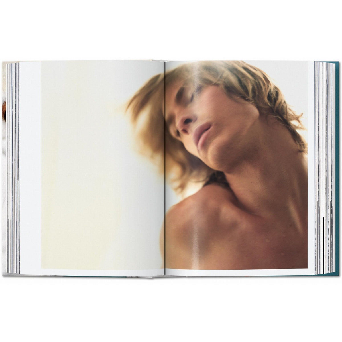 Mario Testino. SIR. 45th Ed. - Bücher - Taschen Verlag – Ansicht 3