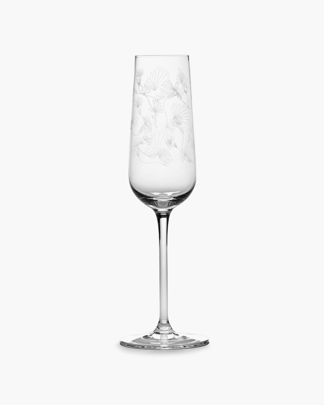 Champagne Flute 4 - Set - Camelia Aubergine Midnight Flowers Geschirr by Serax x Marni