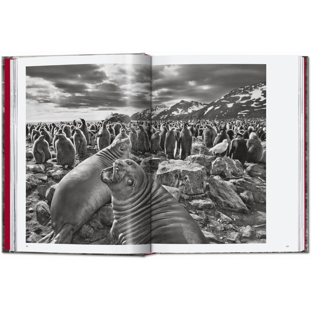 Sebastião Salgado. Genesis. 45th Ed. - Bücher - Taschen Verlag – view 5