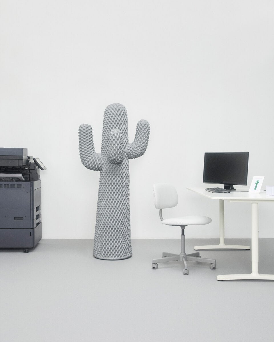 Boring Cactus