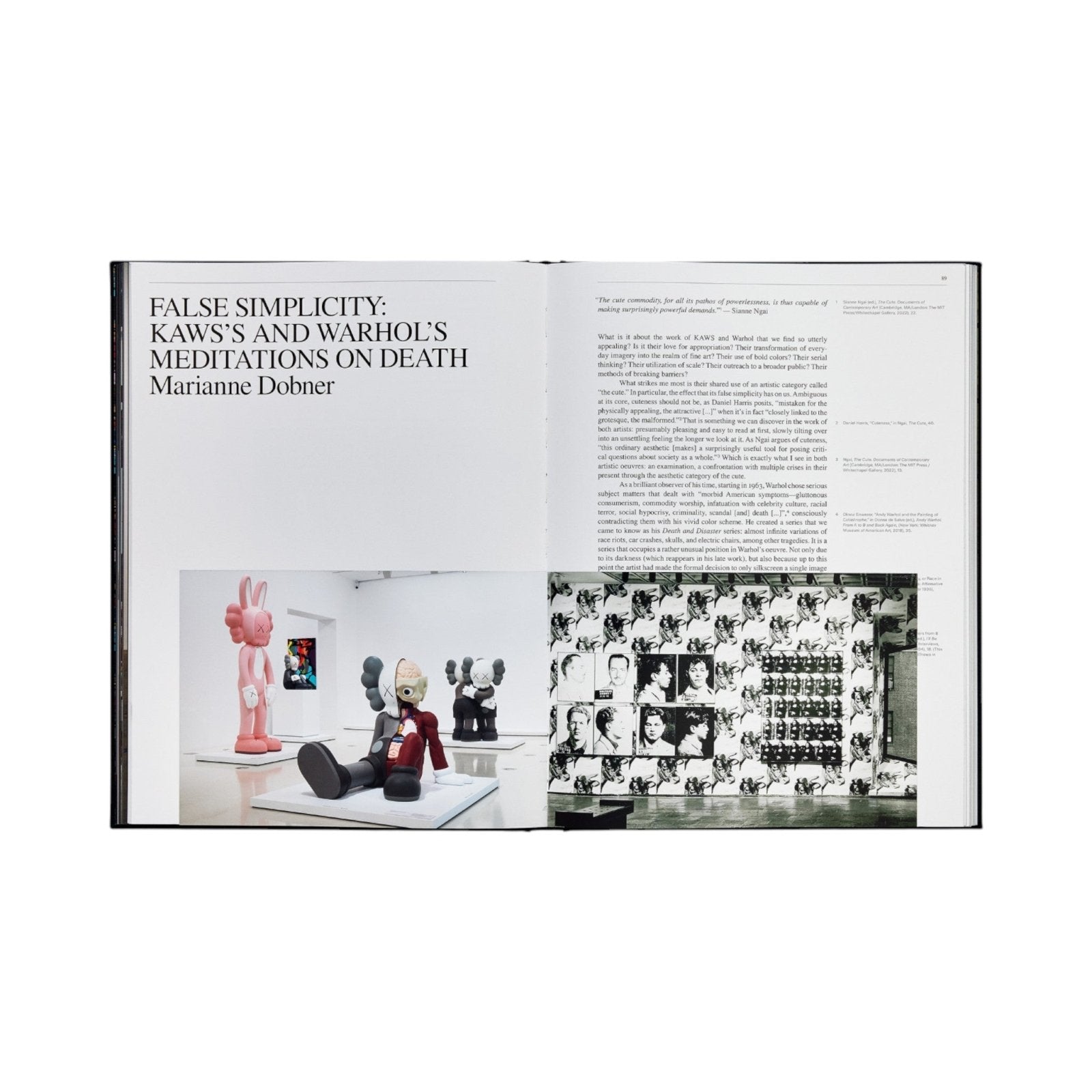 KAWS + Warhol Bücher by Phaidon