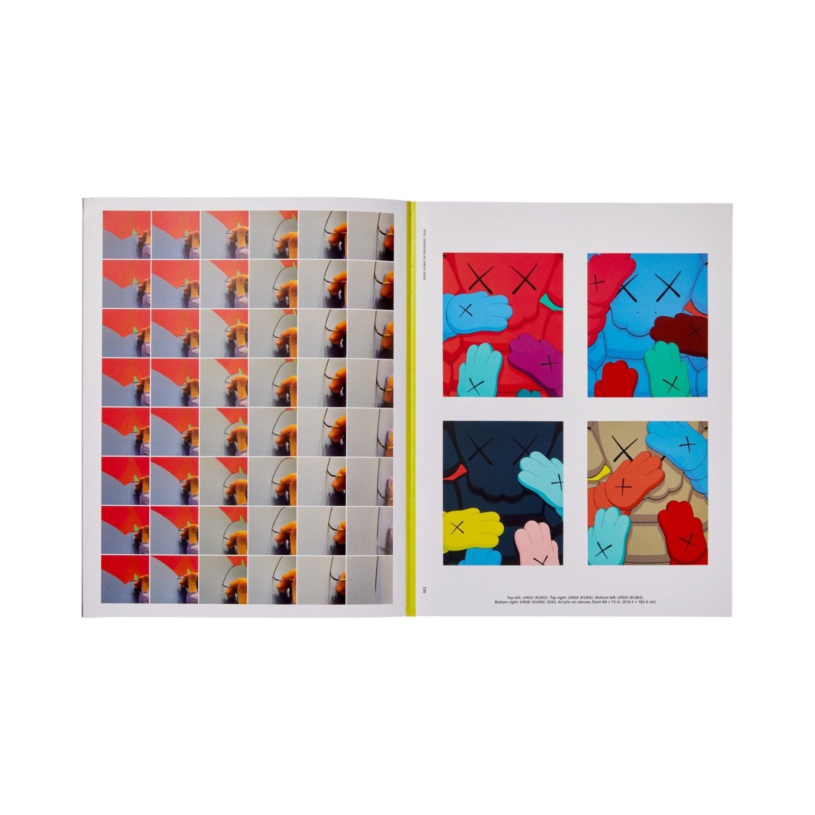 KAWS: WHAT PARTY - Black on Pink edition Bücher by Phaidon