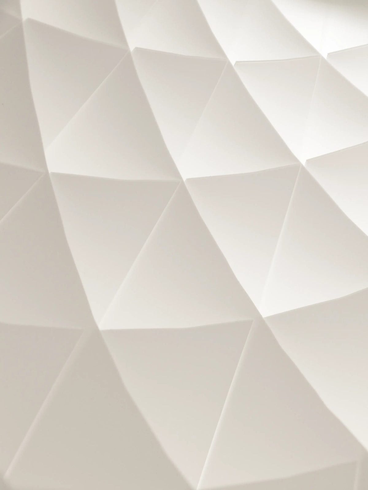 Patera Oval Pendant Lamp – Ansicht 7