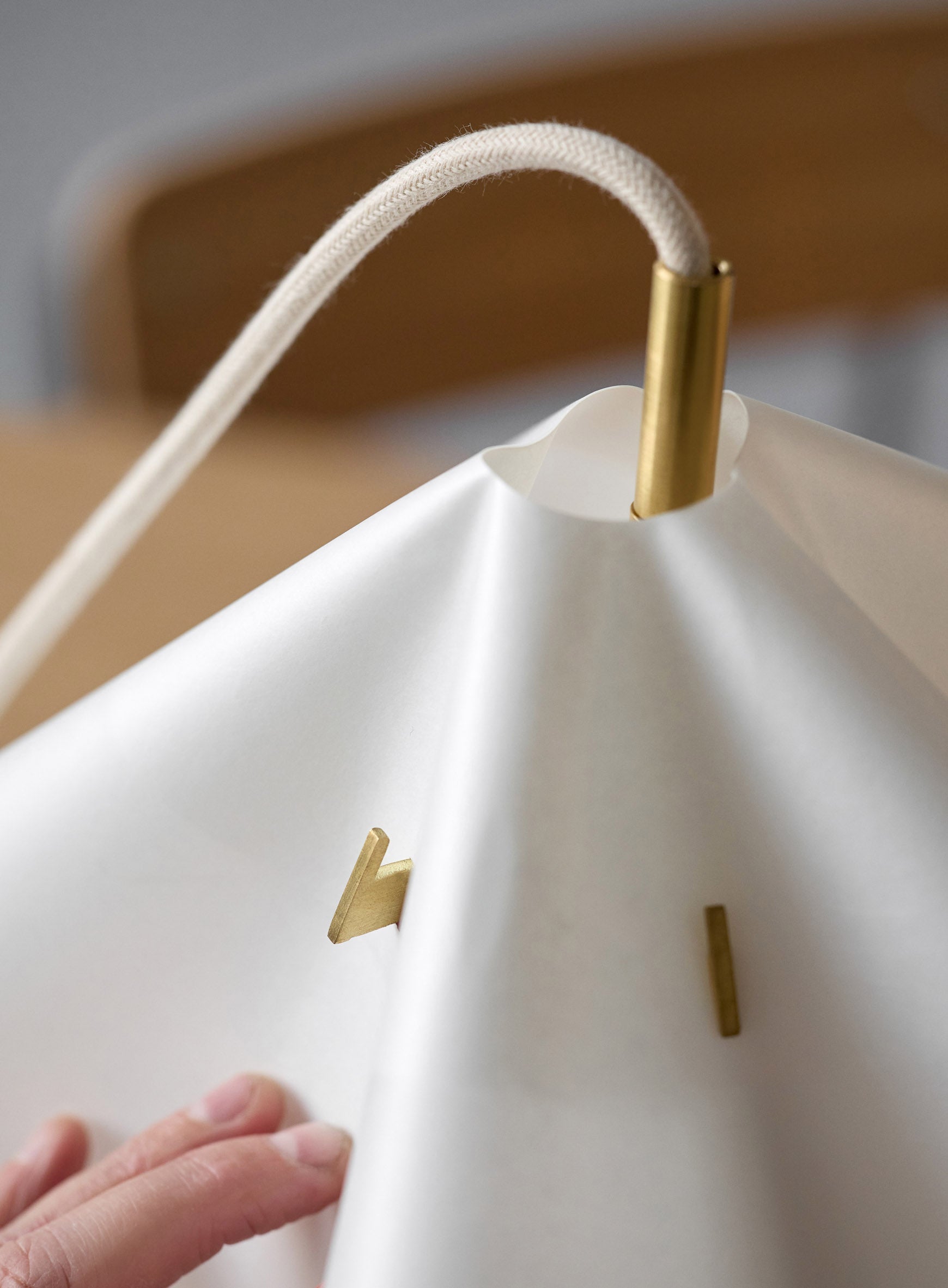 Sinuate Pendant Lamp