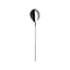 Servierlöffel, poliert, L 27,2 cm