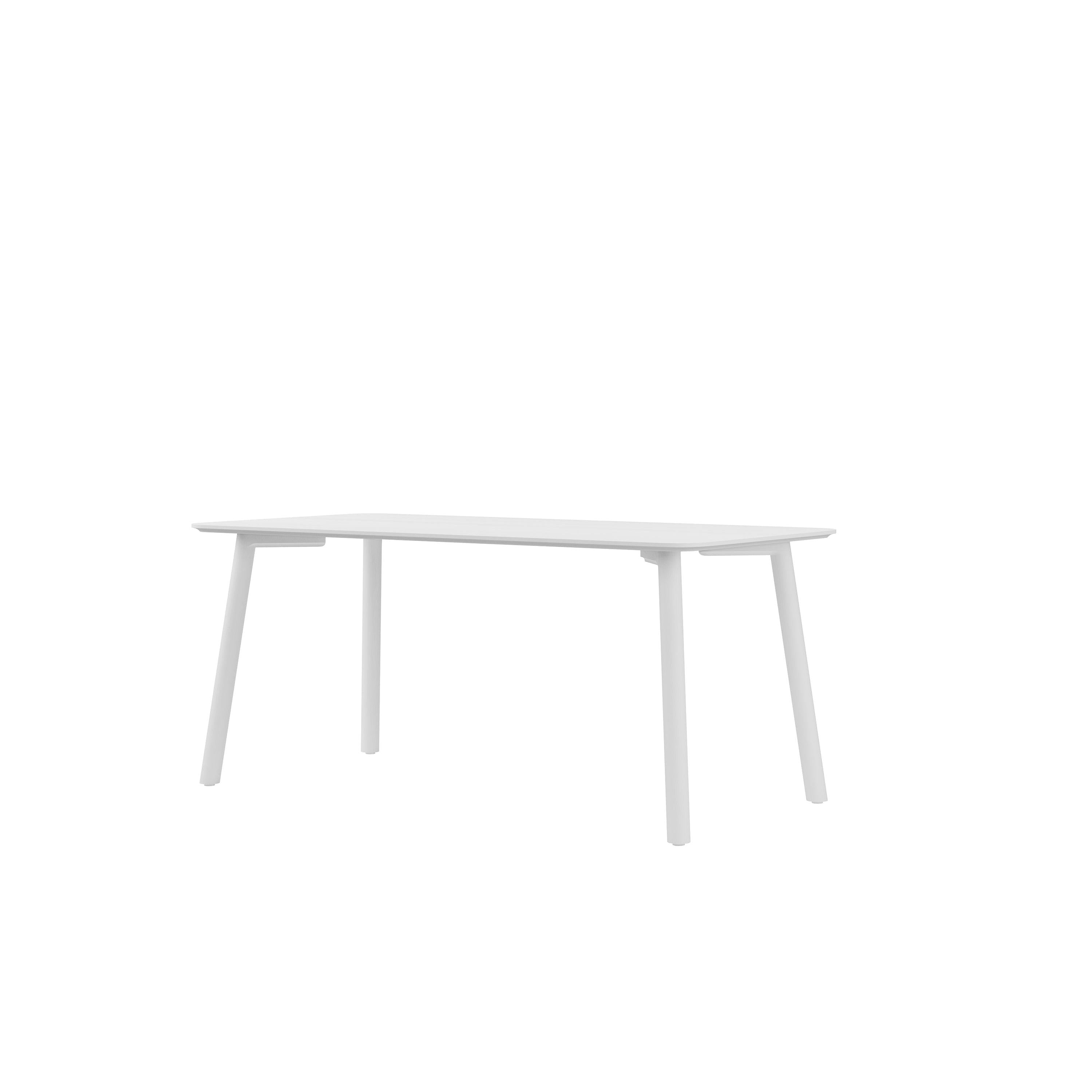 MEYER COLOR Table 120 x 60