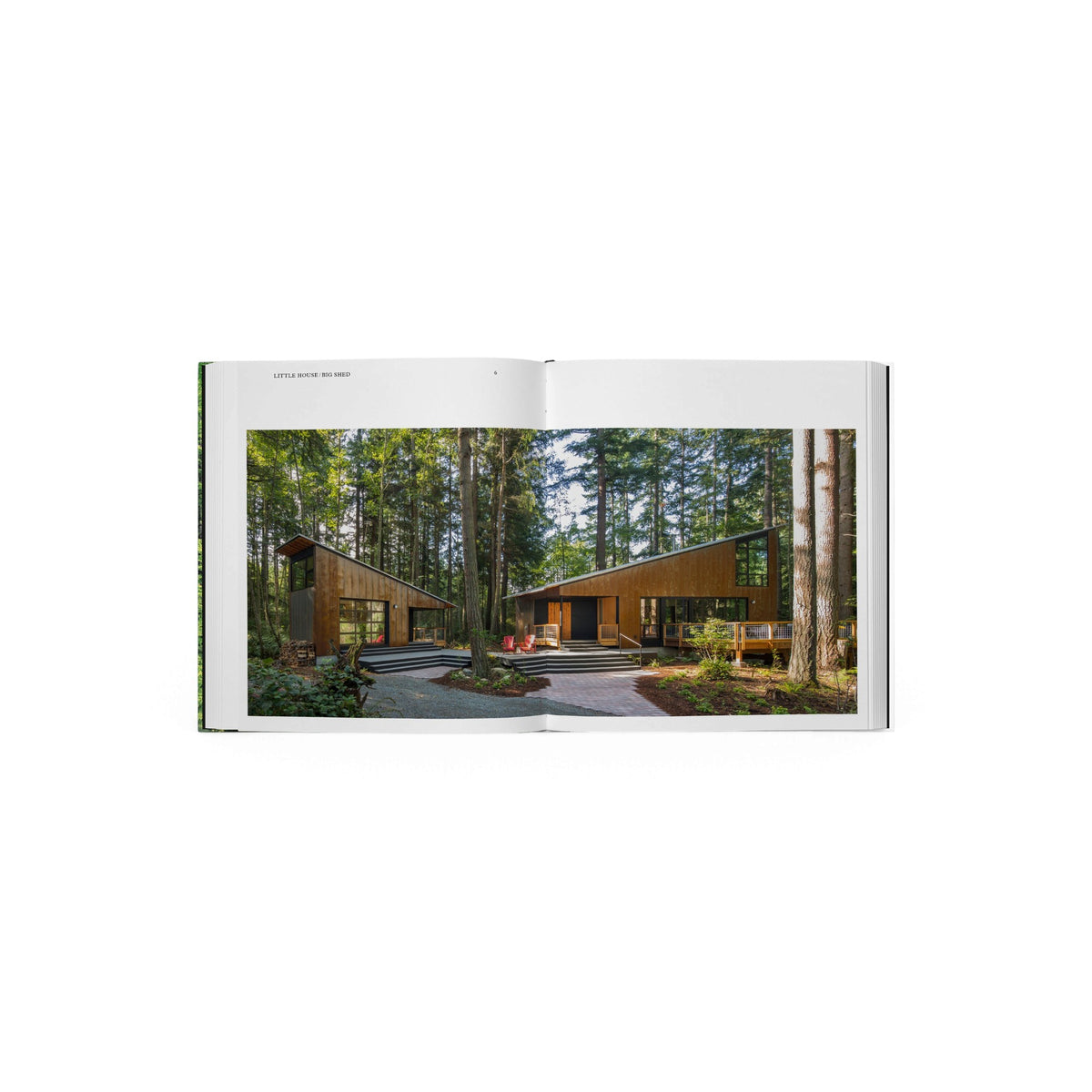 Living in the Forest - Bücher - Phaidon – view 3