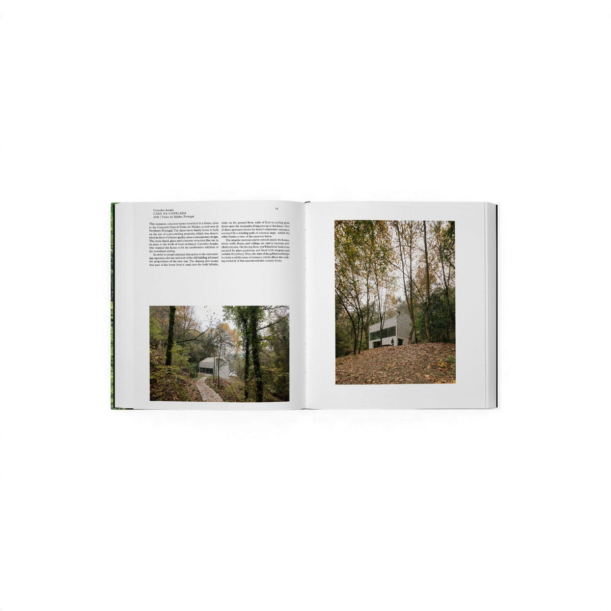 Living in the Forest - Bücher - Phaidon – view 4