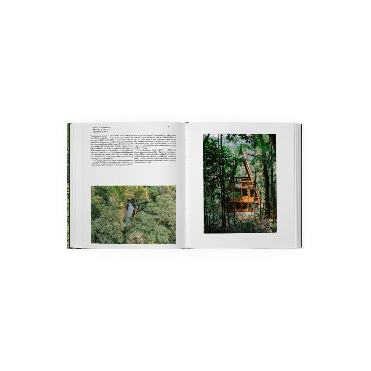 Living in the Forest - Bücher - Phaidon – view 5