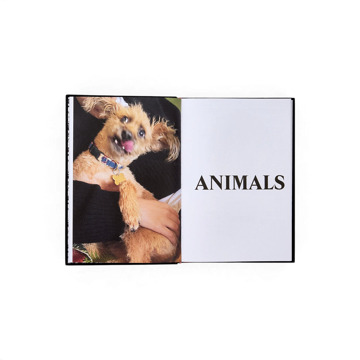 Palace Product Descriptions: The Selected Archive - Bücher - Phaidon – Ansicht 6