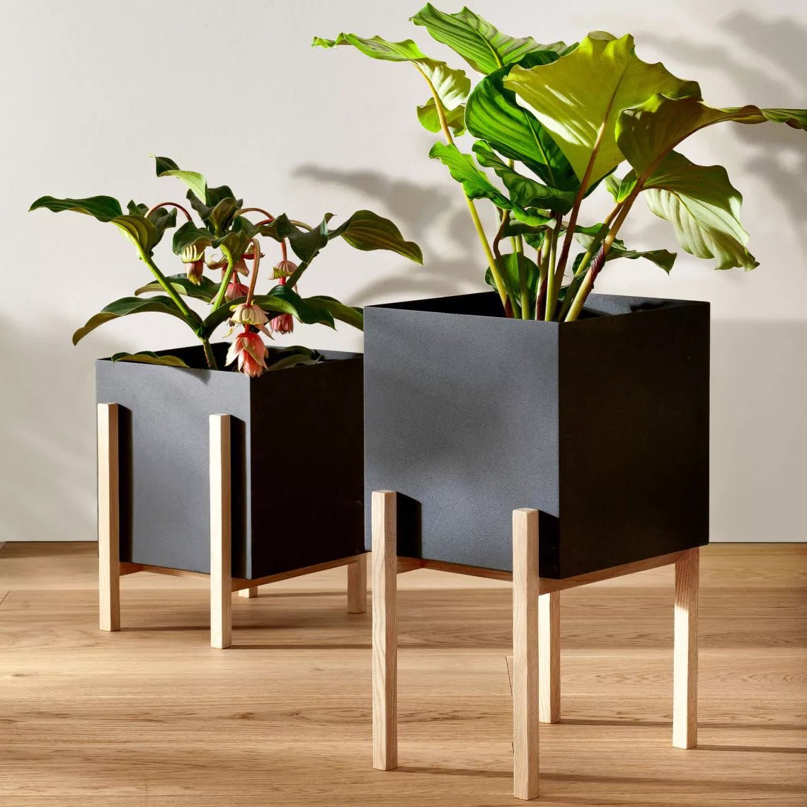 Botanic Pedestal Pot - Blumentopf Blumentopf von Design House Stockholm