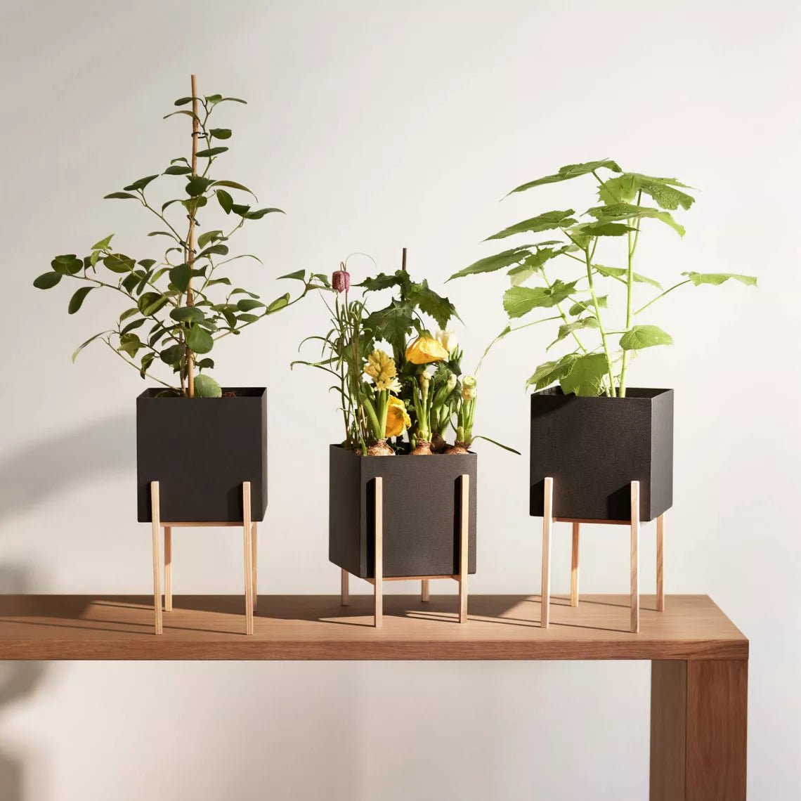 Botanic Pedestal Pot - Flowerpot Flowerpot by Design House Stockholm
