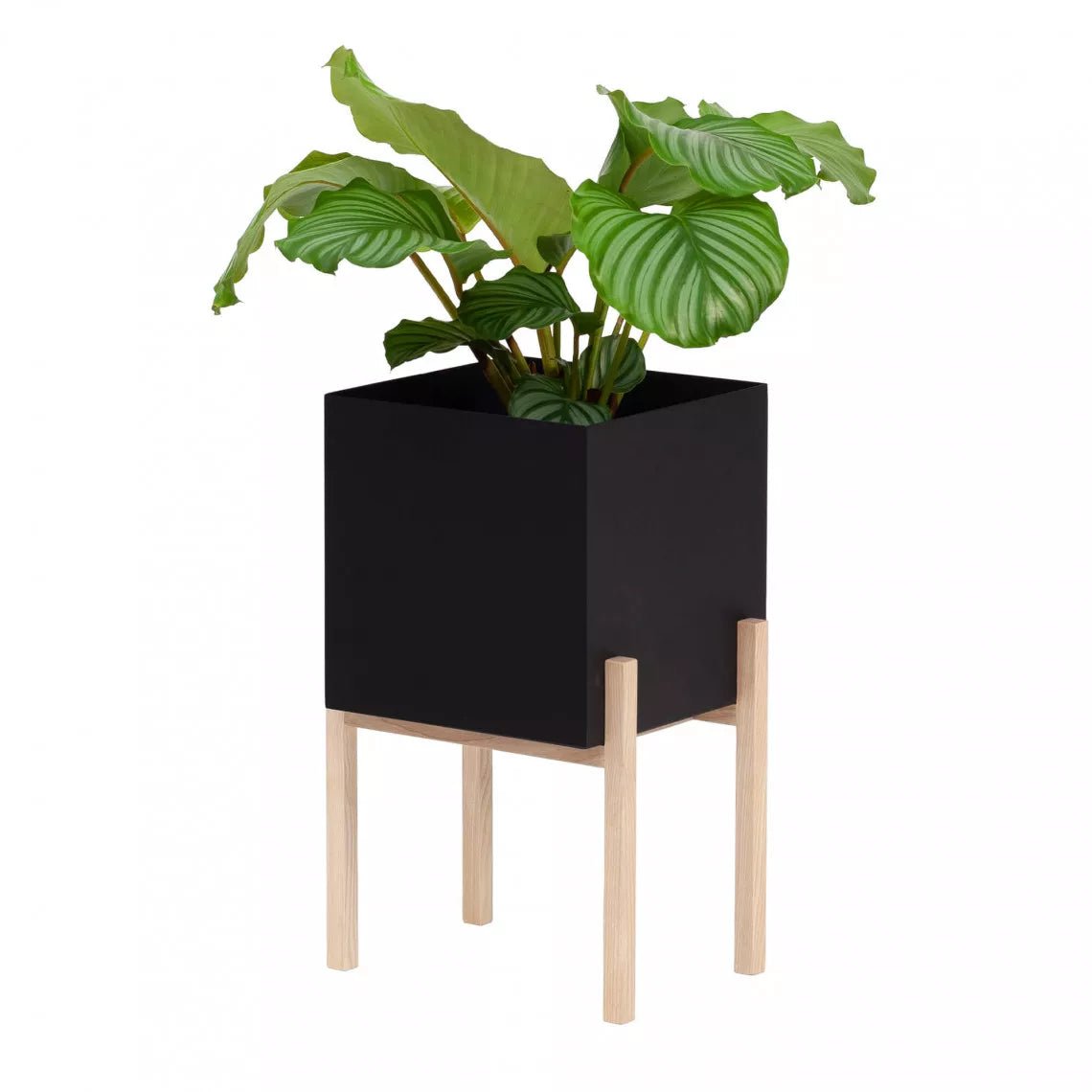 Botanic Pedestal Pot - Blumentopf